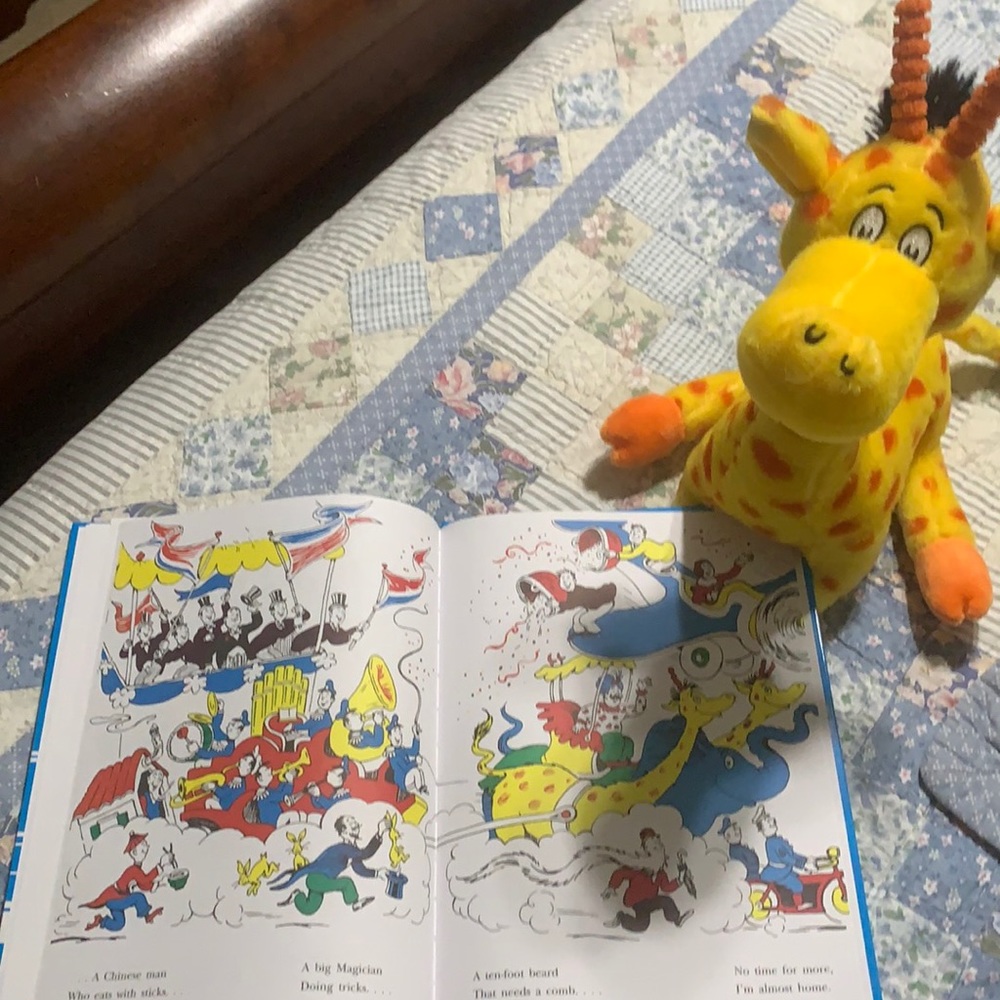 DR SEUSS Book and Plush Giraffe combo